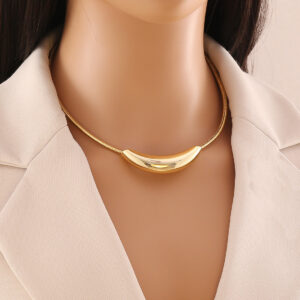 Crescent Stainless Steel Necklace